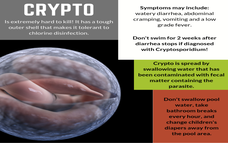 what is crypto bacteria