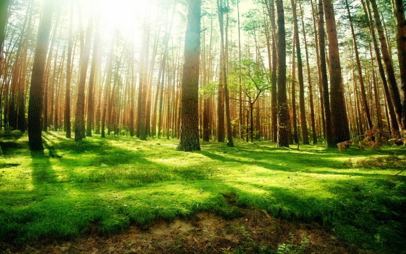 Grounding