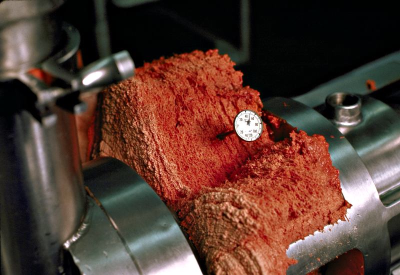 Pink Slime