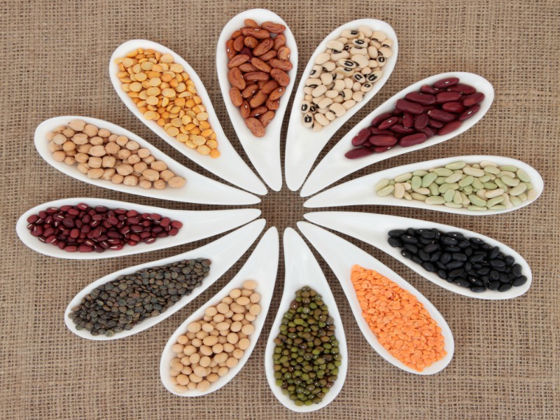 Lectins