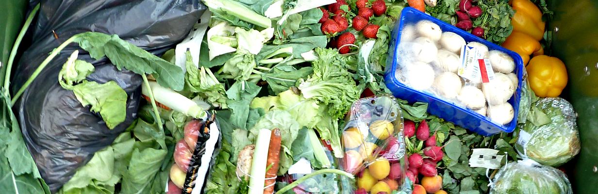 Food Waste, Food Insecurity, and the Right to Foode
