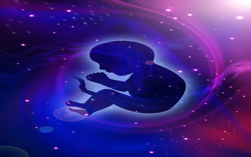 Fetal Surgery